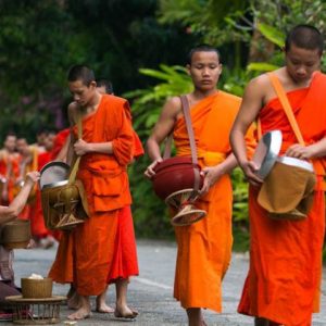 morning alms giving in luang prabang laos