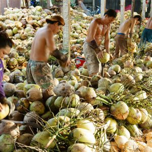 Coconut Factory Mekong Delta
