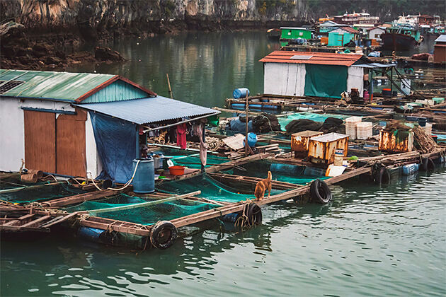 Fishing Village on Halong Bay