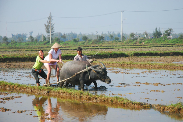 Hoi An Farming Life Tour - Indochina Tour Packages 