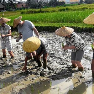 Living Land Farm - Indochina Tours 15 Days