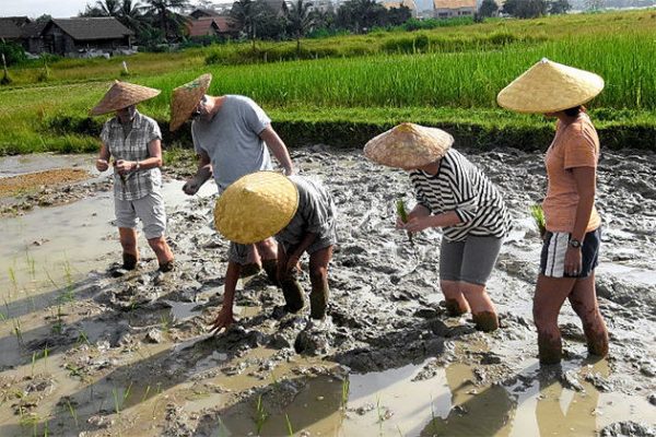 Living Land Farm - Indochina tour packages