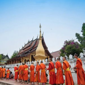 Morning Alms Giving Ceremony in Luang Prabang