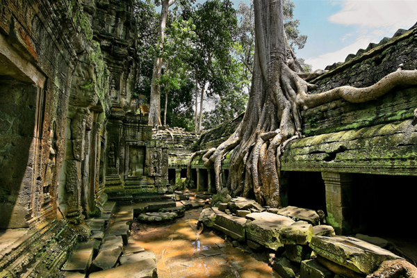 Ta Prohm Temple -Indochina tour packages