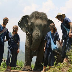 Thai Elephant Home Chiang Mai