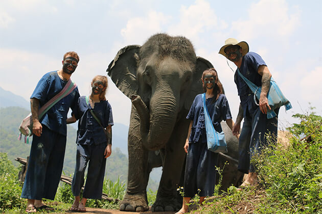 Thai Elephant Home Chiang Mai