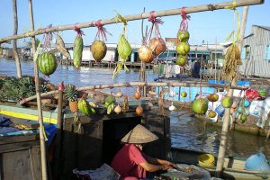 Fruit bunches are hung to show the type of fruit sold at Cai Be floating market