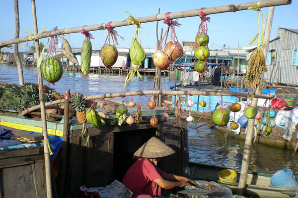 Fruit bunches are hung to show the type of fruit sold at Cai Be floating market