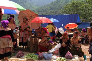 In Can Cau market you can buy all kinds of local produce