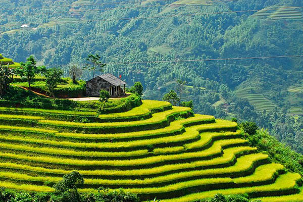 Heaven Gate, Sapa