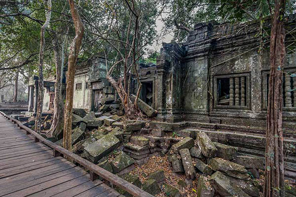 The tourist boardwalks within Beng Mealea temple compound