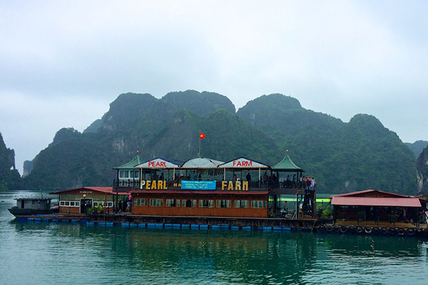 Floating Pearl Farm, Halong Bay