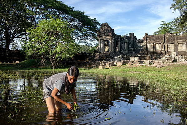 Best Time To Visit Cambodia