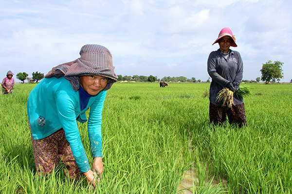 Best Time To Visit Cambodia