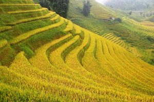 Best Autumn Tourist Attractions in Indochina