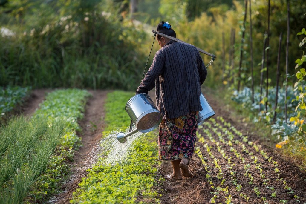 Laos climate