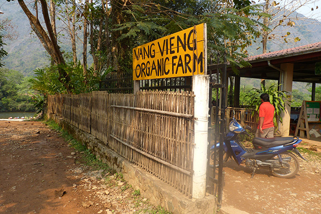 Vang Vieng Organic Farm is simultaneously regarded as an organic farm