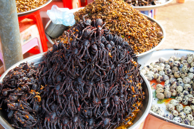 Fried Tarantulas Spider Cambodia