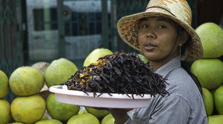 Most Horrifying Foods in Indochina