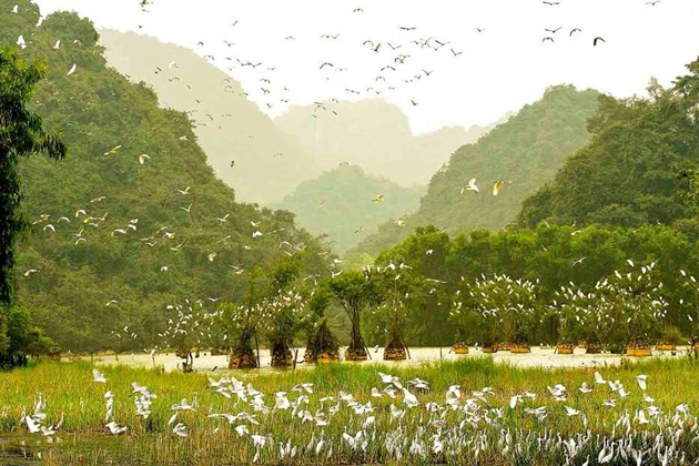 Mesmerizing scenery in Thung Nham Ecotourism
