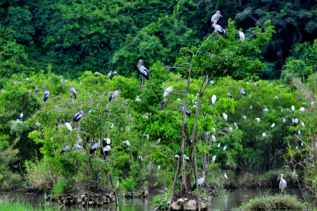 Thung Nham Ecotourism Ninh Binh