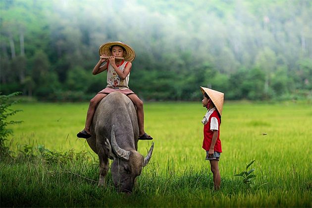  bambus flöte vietnam traditionelle musik instrumente