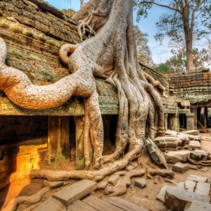 Ta Prohm temple - Multi-Country Asia tour