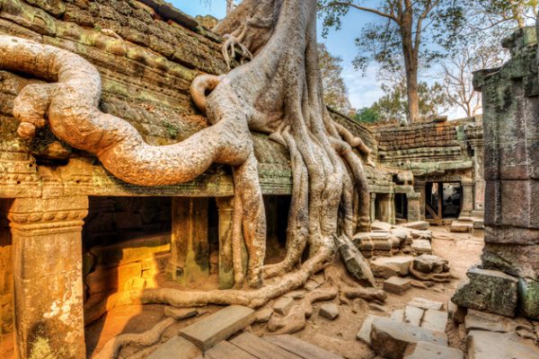 Ta Prohm temple - Multi-Country Asia tour