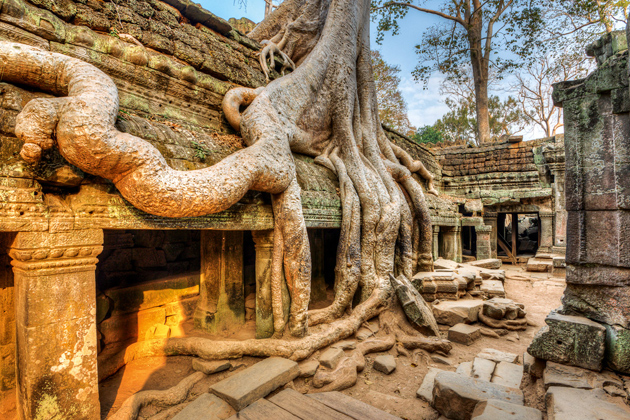 Ta Prohm temple Siem Reap Southeast Asia