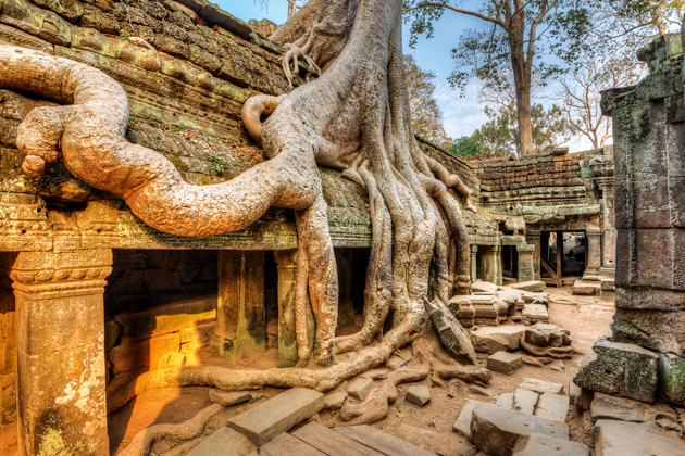 Ta Prohm temple - Multi-Country Asia tour