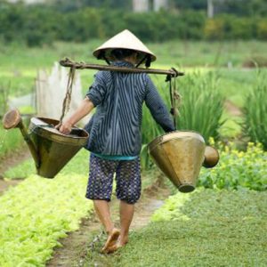 Hoi An Farming and Eco Tour