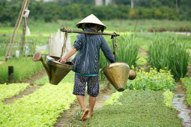 Hoi An Farming and Eco Tour