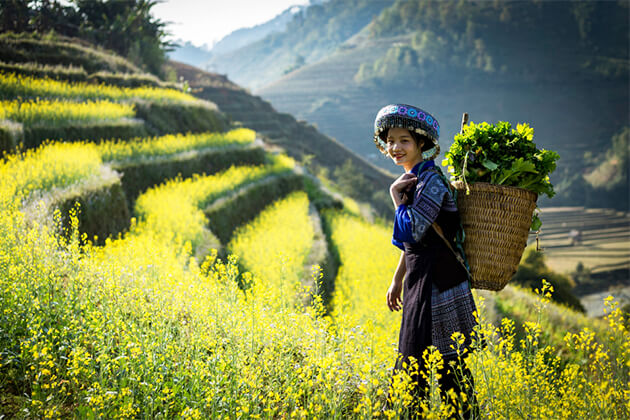 Sapa Town -Indochina tour packages