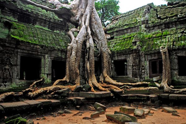 Ta Prohm Temple - Indochina Tour Packages