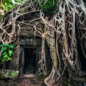 Ta Prom Temple - Indochina tour packages