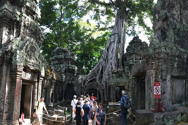 Ta Prohm Temple - Cambodia Laos 11 Day Tour