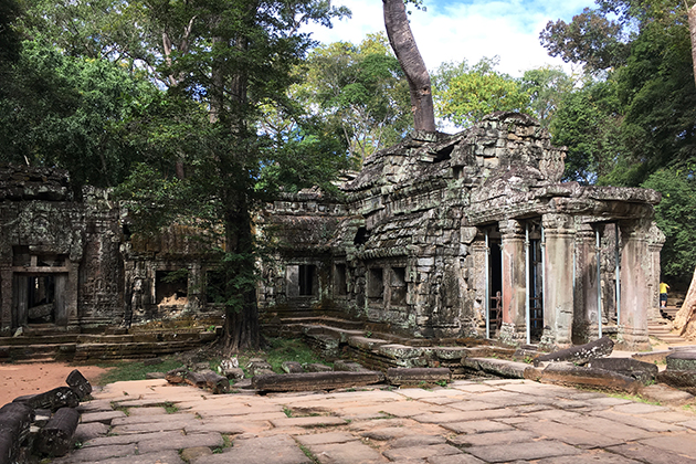 Ta Prohm Temple - Indochina Tour Packages