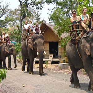 elephant ride buon ma thuat indochina tour