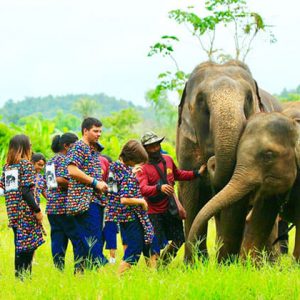 Kanta Elephant Sanctuary - Multi-Country Asia tour