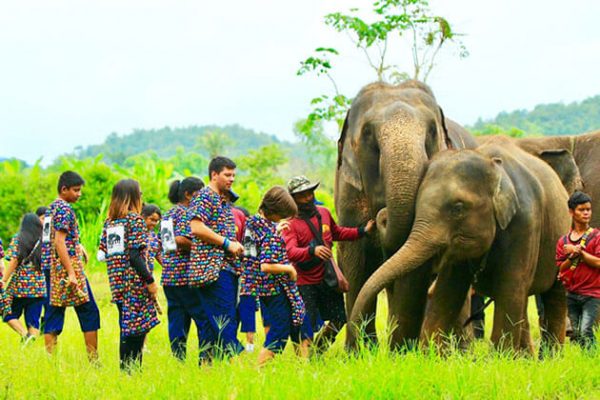 Kanta Elephant Sanctuary - Multi-Country Asia tour