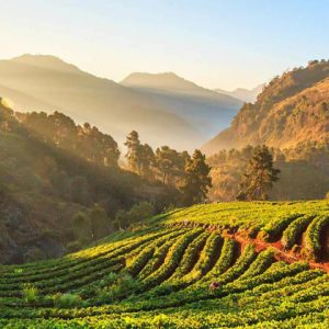 chiang mai indochina tours