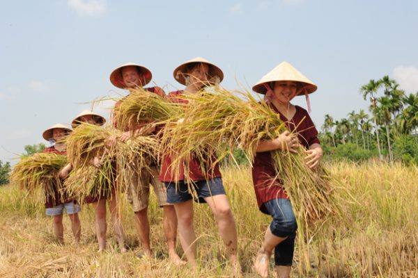 hoi an farming tour indochina tours