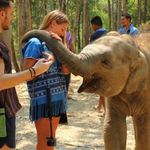 Elephant Jungle Sanctury - Multi-Country Asia Tour