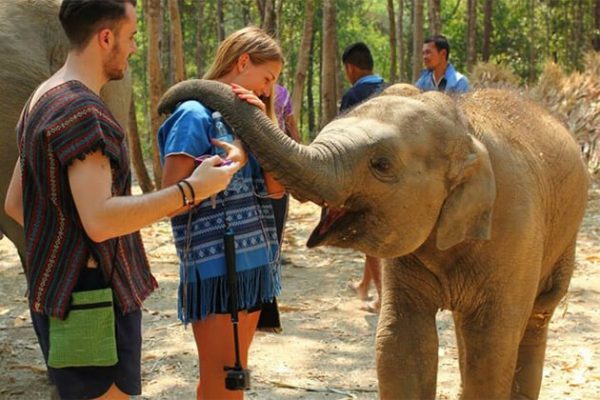Elephant Jungle Sanctury - Southeast Asia Tours