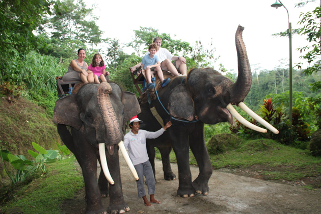 Elephant camp -Indochina tour packages