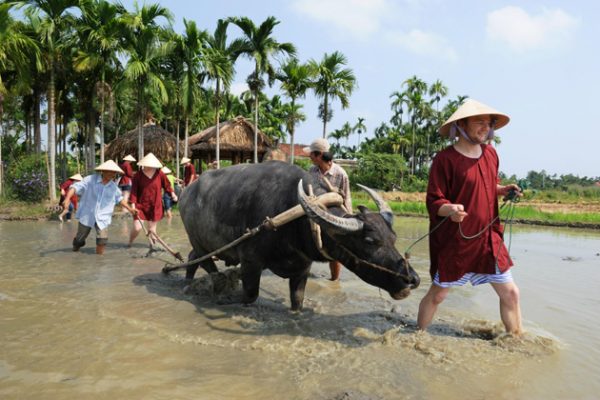 Hoi An farming tour Vietnam - Multi-Country Asia tour packages