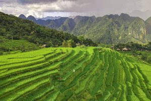 Thanh Hoa Authority Announces a New Community-based Tour in Pu Luong