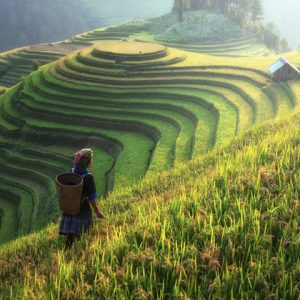 Sapa, Vietnam -Indochina tour packages