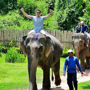 Elephant Village Camp -Indochina tour packages