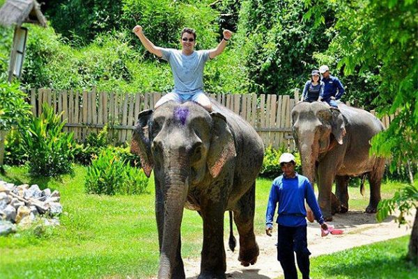 Elephant Village Camp -Indochina tour packages